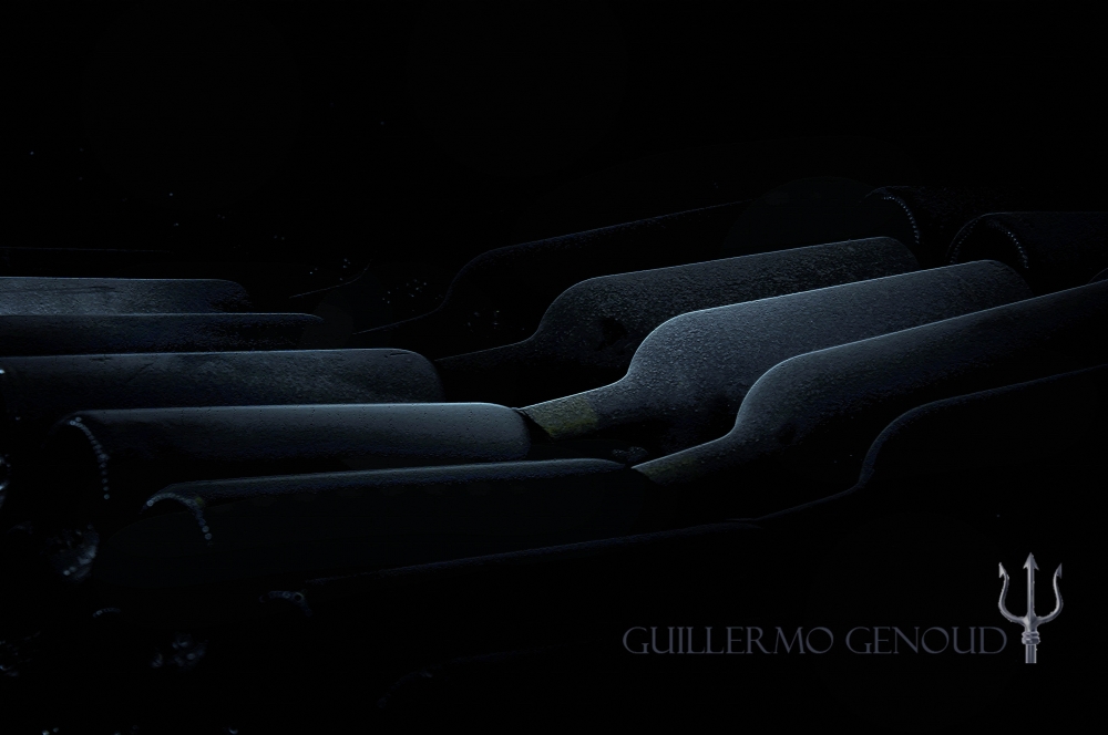 "Descanso en la Estiba" de Guillermo Genoud