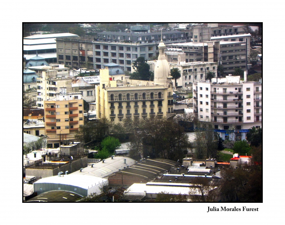 "Montevideo desde la Torre de las comunicaciones" de Julia Morales Furest
