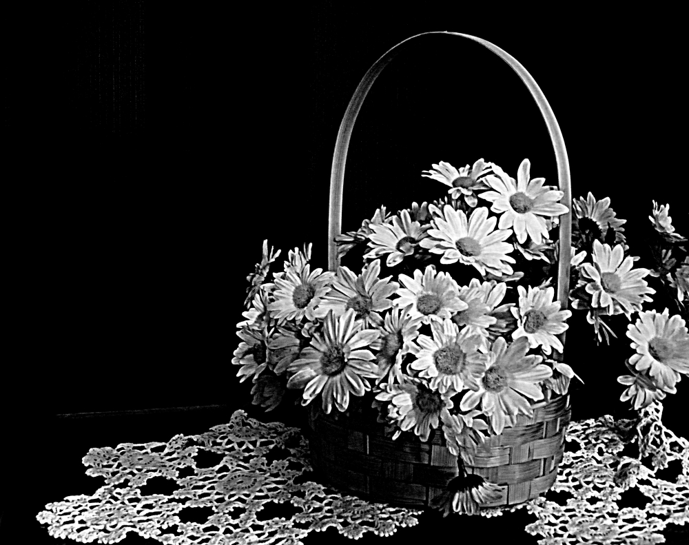"Canasta floral" de Silvia Olliari
