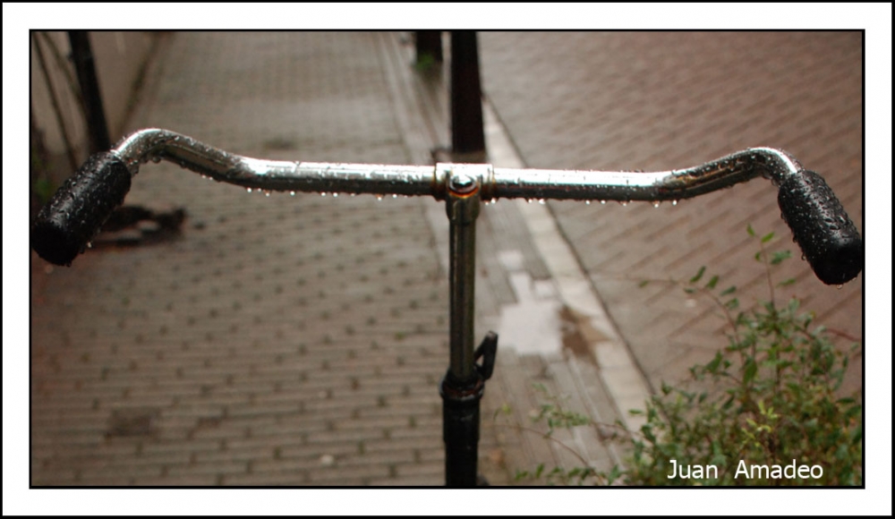 "Gotas de lluvia" de Juan Amadeo