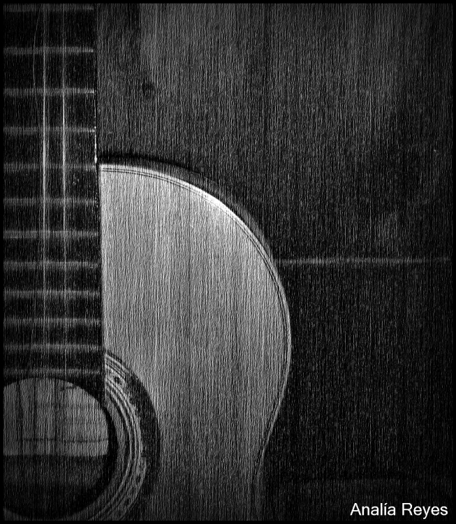 "Mi vieja y querida guitarra" de Anala N. Reyes