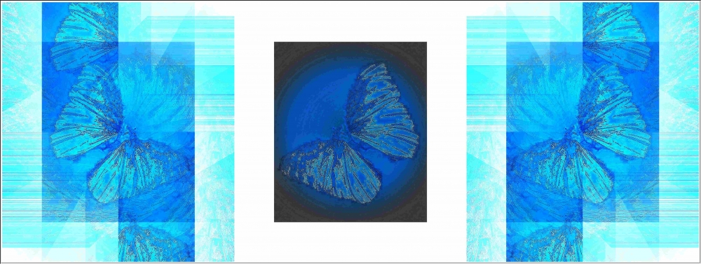 "Mariposas azules" de Daniel Gil Feilberg