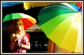 Paraguas Coloridos