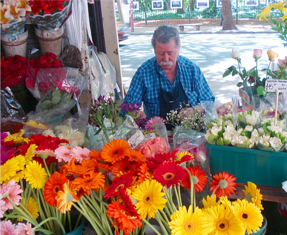 "Luis,el florista del Botnico" de Ernesto Grun