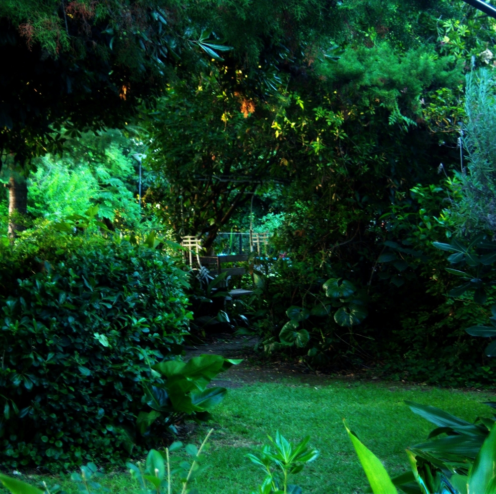 "el jardin" de Beatriz Di Marzio