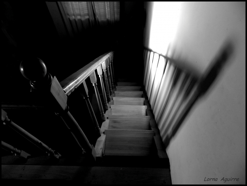 "La escalera y su sombra" de Lorna Aguirre