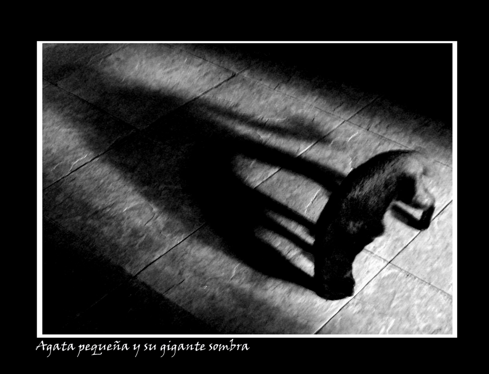 "Agata pequea y su gigante sombra" de Nora Lilian Iturbide ( Noral )