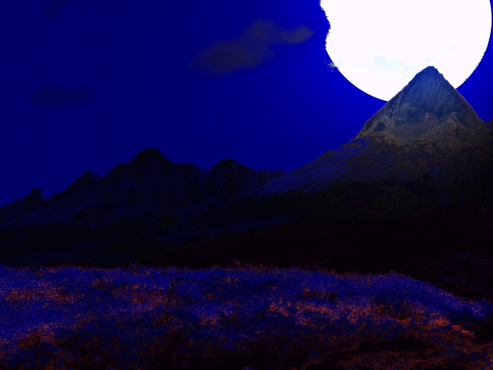 "Cordillera nocturna" de Mercedes Pasini