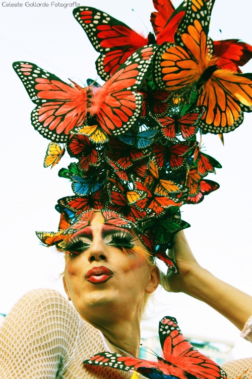 "Mariposas" de Celeste Gallardo