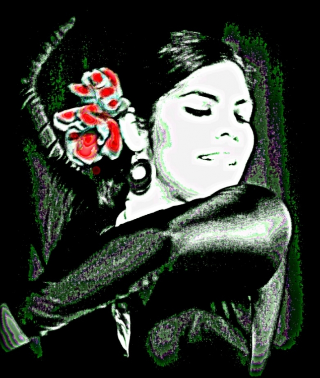 "Flamenco" de Mercedes Bringas