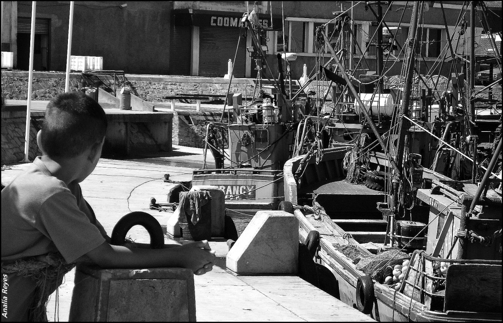 "Sueos de pescador (La vida en el Puerto)" de Anala N. Reyes