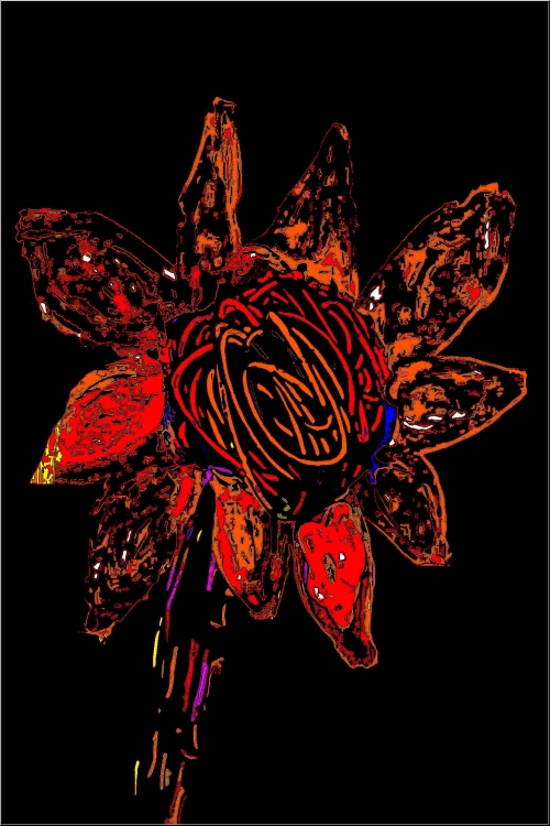"Flor imaginaria" de Daniel Gil Feilberg
