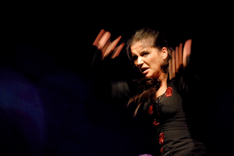"Flamenco apasionado" de Osvaldo Sergio Gagliardi