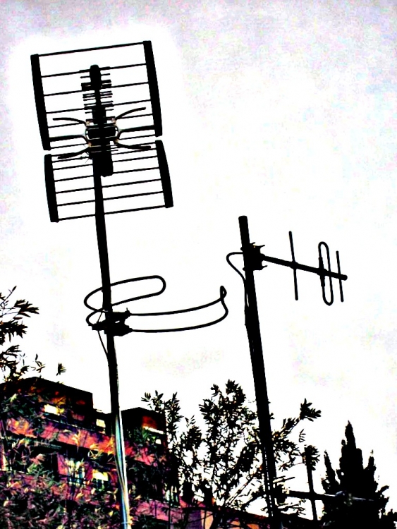 "antenas invasoras ..." de Rosa Mara Olivn