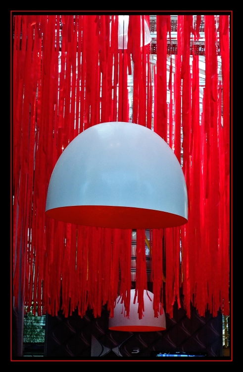 "Flecos rojos" de Silvia Beatriz Insaurralde (petalo)
