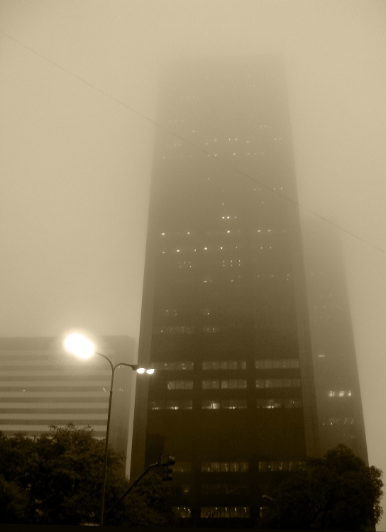 "Perdidos en la niebla" de Diana Rojas