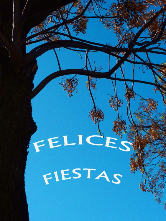 "Felices Fiestas" de Ricardo Marziali