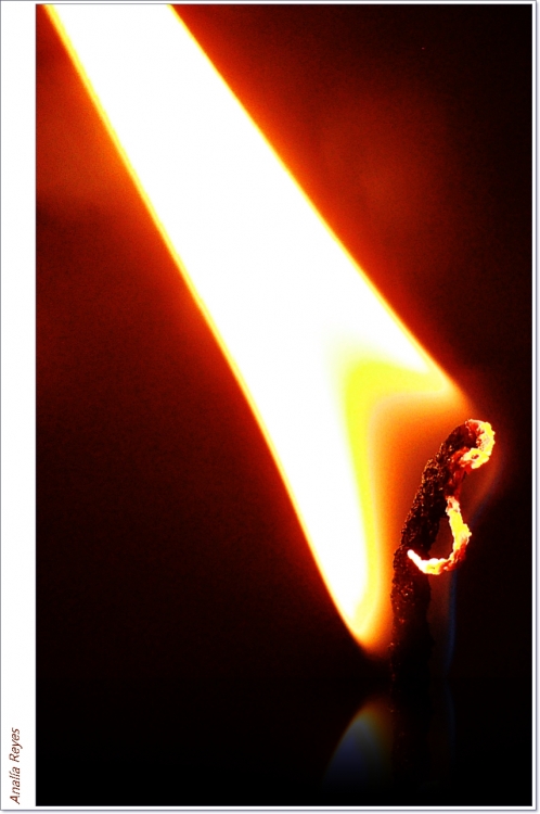 "Bajo fuego" de Anala N. Reyes