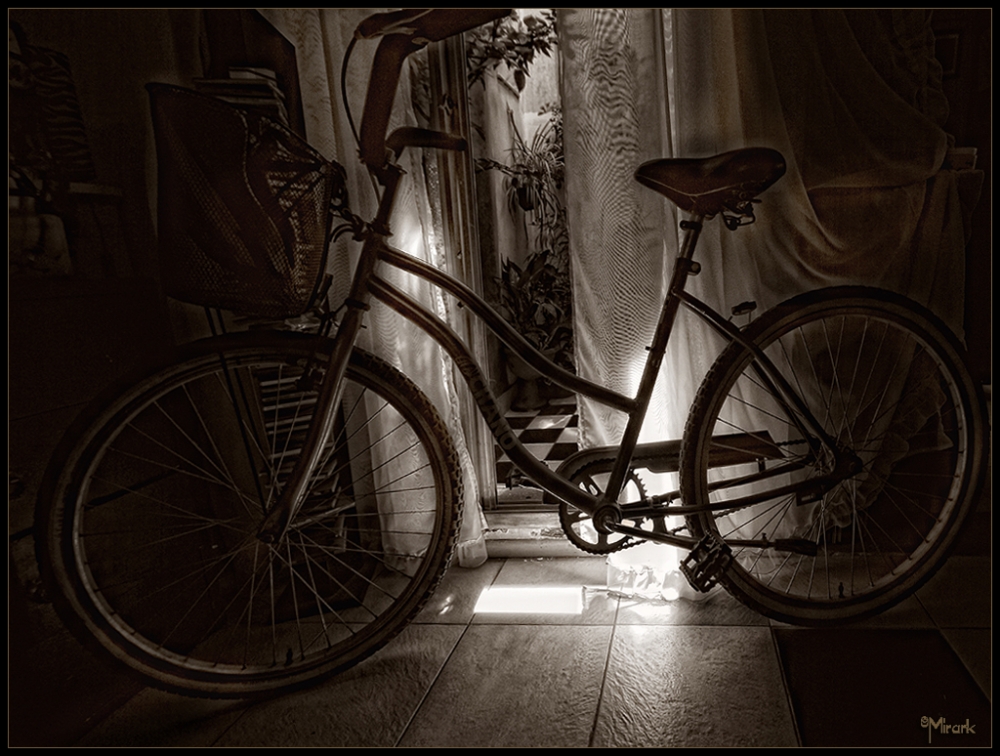"Mi bici" de Mirta Steinberg