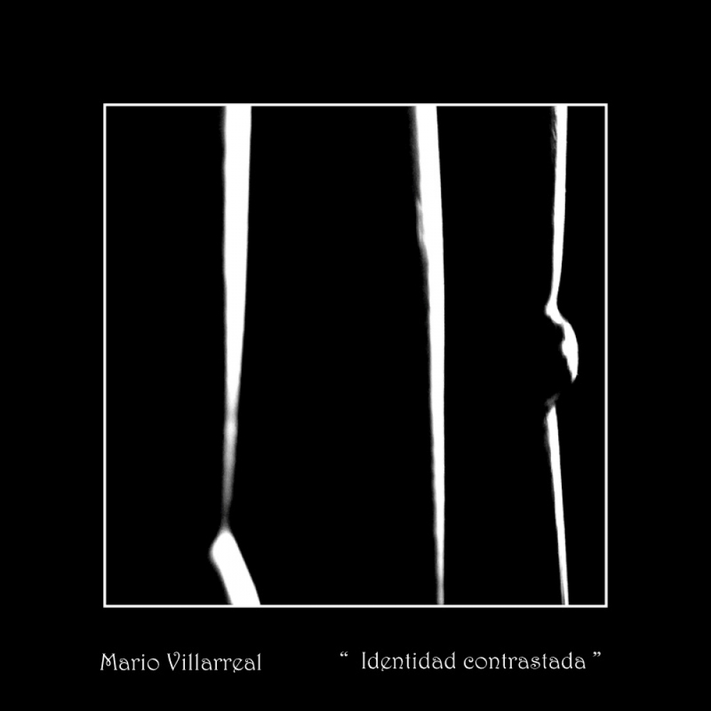 "` Identidad contrastada `" de Mario Victor Villarreal