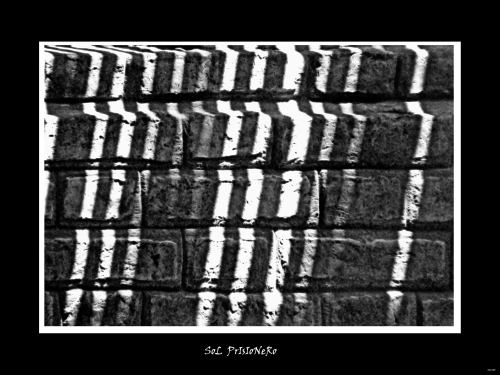 "Sol Prisionero" de Nora Lilian Iturbide ( Noral )