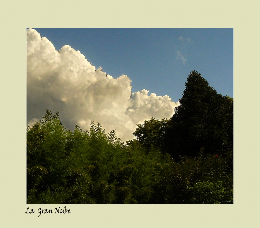 "La gran nube" de Nora Lilian Iturbide ( Noral )