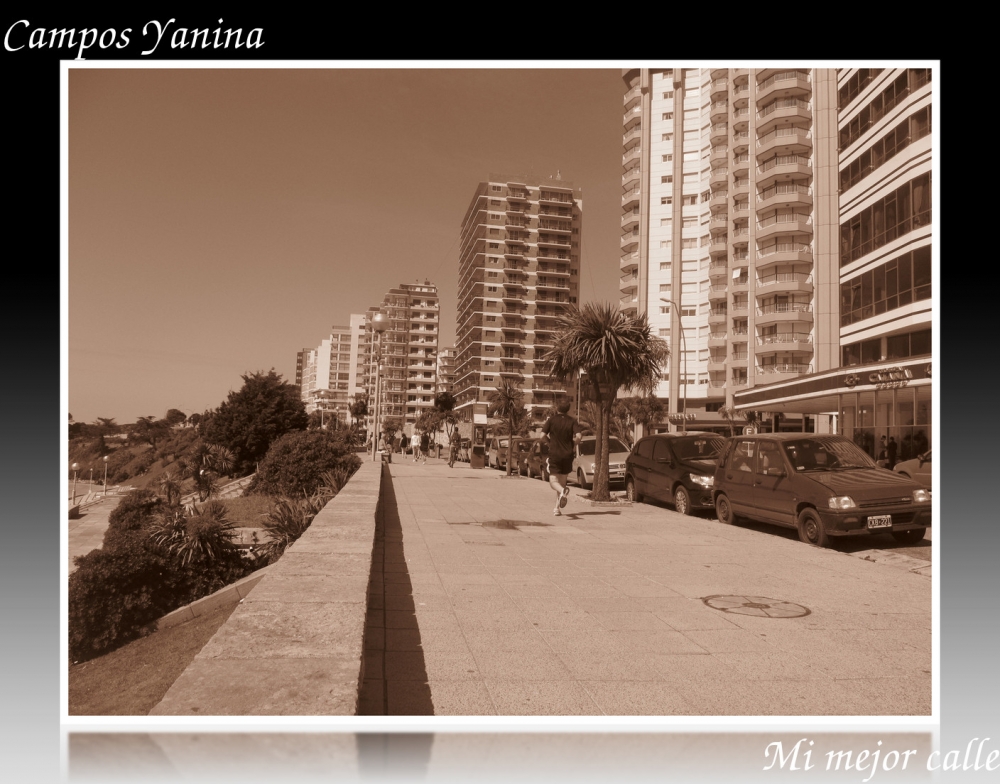 "Mi mejor calle" de Yanina Campos