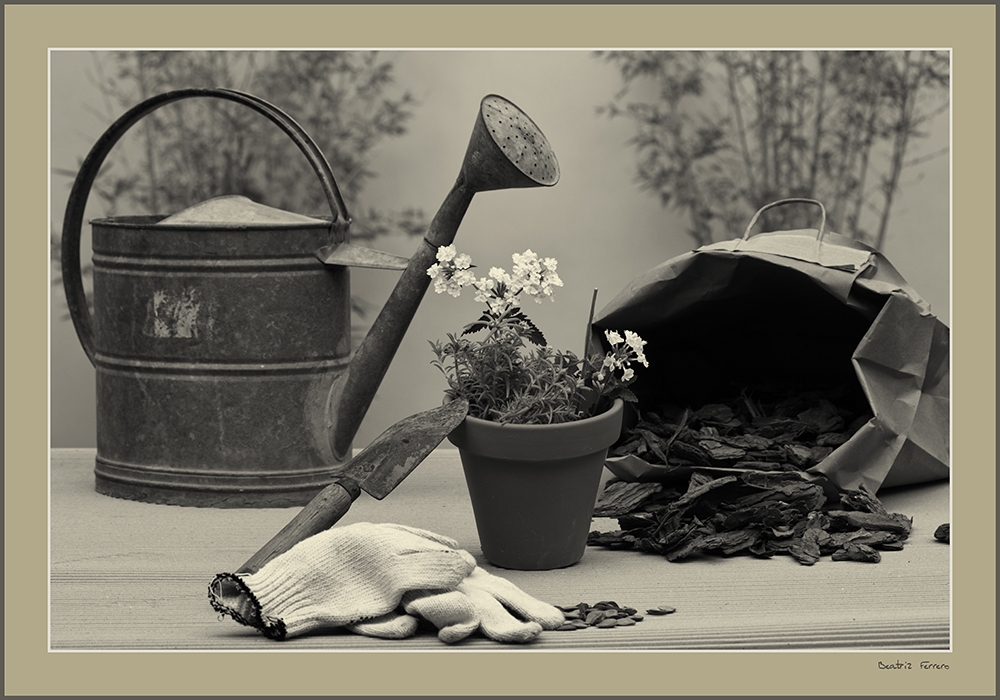 "Hoy...jardinera." de Beatriz Ferrero