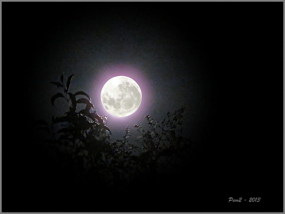 "Mi luna llena." de Enrique M. Picchio ( Pem )
