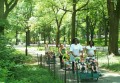New York I ... pasean por Central Park