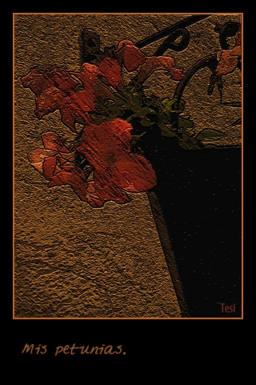 "Mis petunias" de Tesi Salado