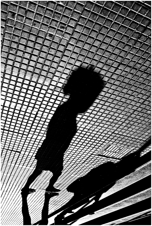 "the shadows... coming soon" de Analia Coccolo