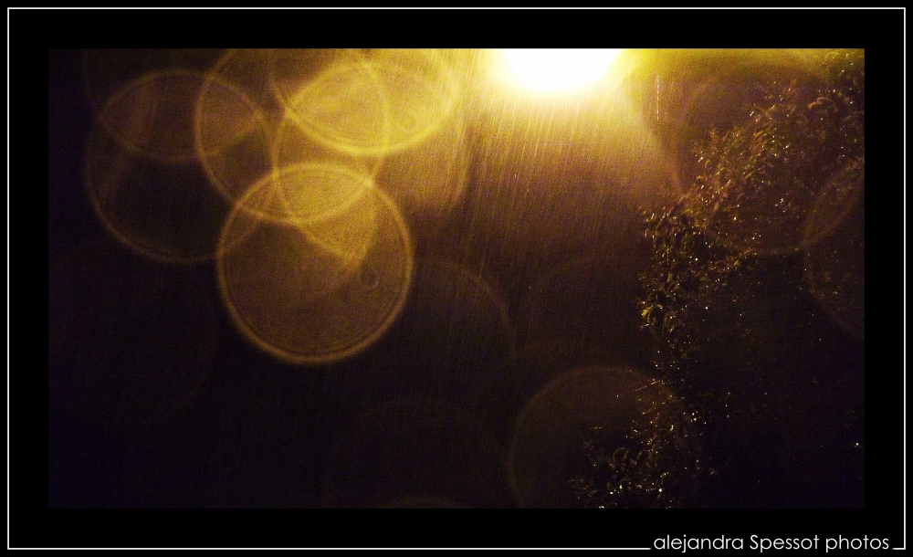 "Gotas de lluvia en mi cmara ..." de Alejandra Spessot