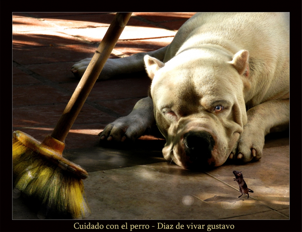 "Cuidado con el perro - Diaz de vivar gustavo" de Gustavo Diaz de Vivar