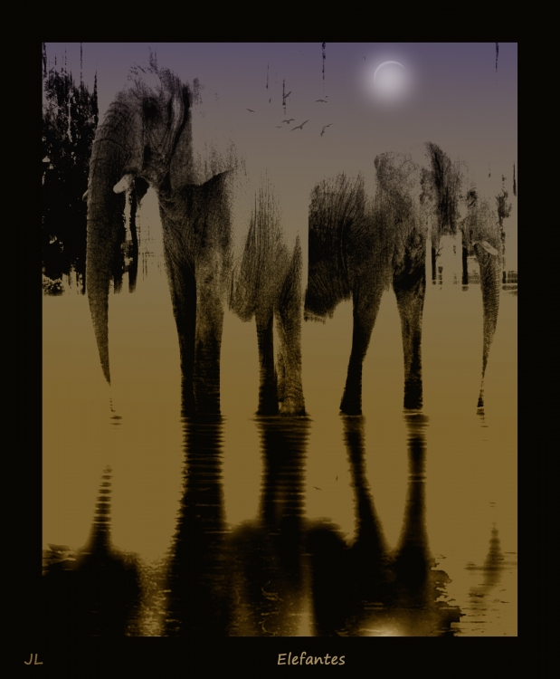 "Elefantes!" de Laura Jakulis