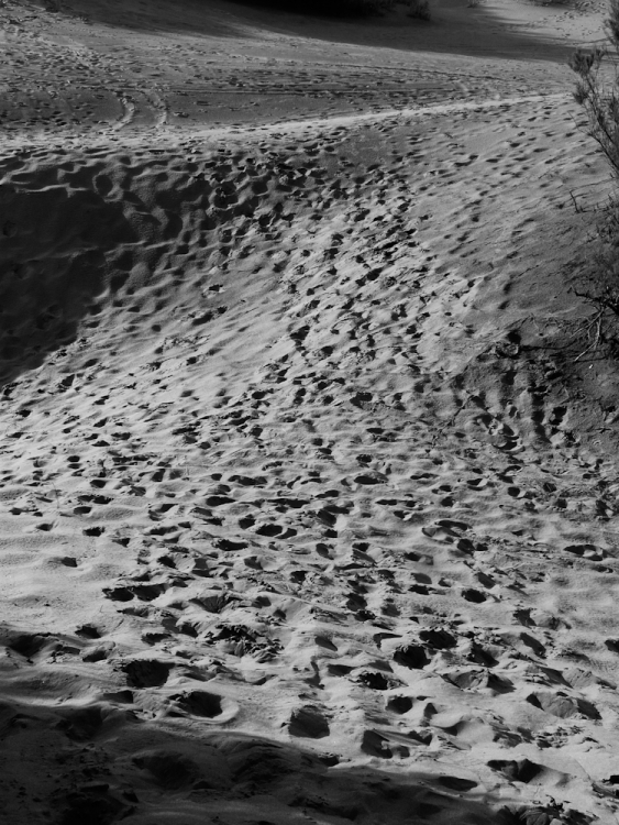 "pasos en la arena" de Fabricio Torchiari