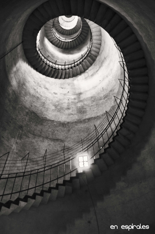 "En espirales" de Analia Coccolo