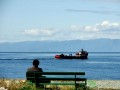 Sentado frente al mar (puerto Mont)