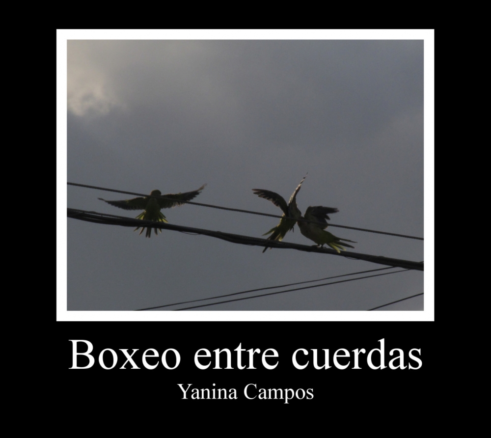 "Boxeo entre cuerdas" de Yanina Campos
