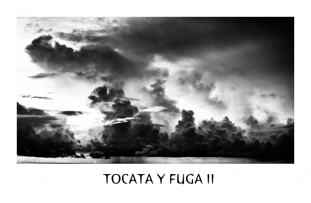 "Tocata y fuga II" de Analia Coccolo