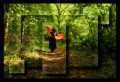 Ilusion optica en el bosque