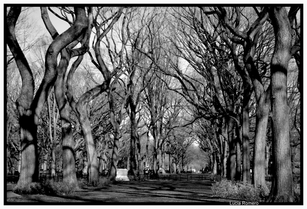 "Un domingo en Central Park" de Lucia Romero Riva