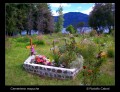 cementerio mapuche
