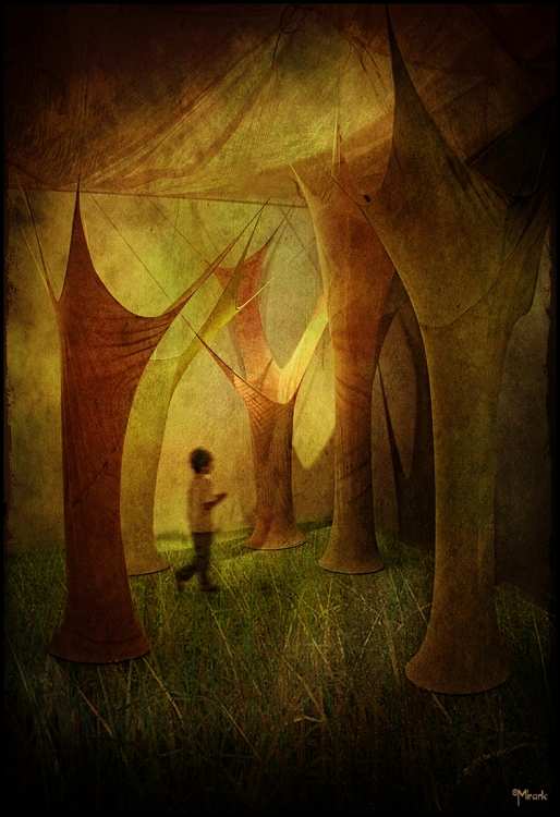 "Explorando el bosque encantado" de Mirta Steinberg