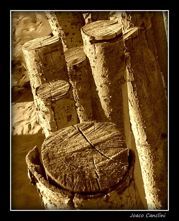 "troncos" de Joaquin Canclini
