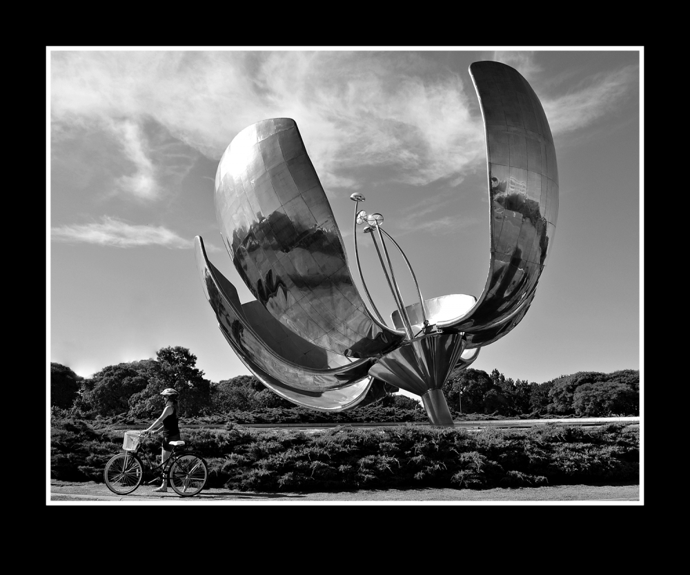 "La flor y la ciclista" de Alberto Elizalde