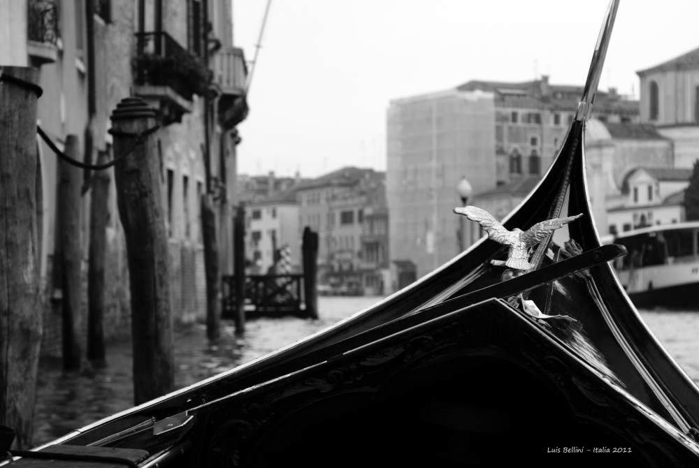 "Venecia en Blanco y Negro desde la Gndola" de Luis Alberto Bellini