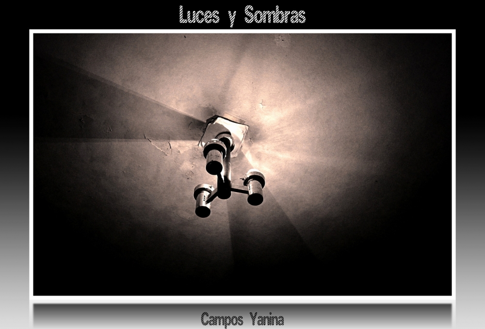 "Luces y Sombras" de Yanina Campos