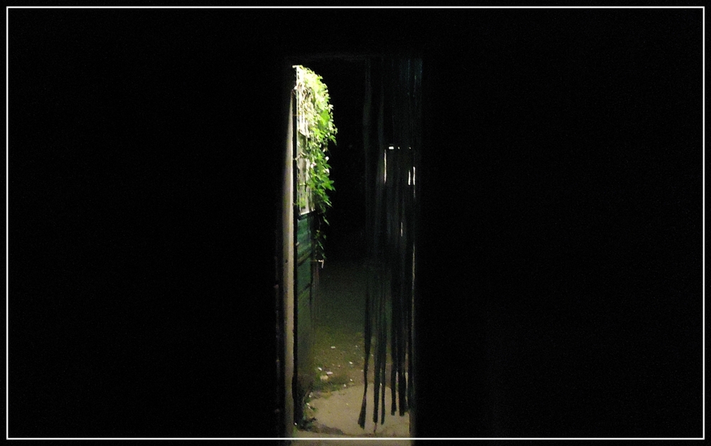 "La puerta frente a la puertita" de Silvia Rodrigo