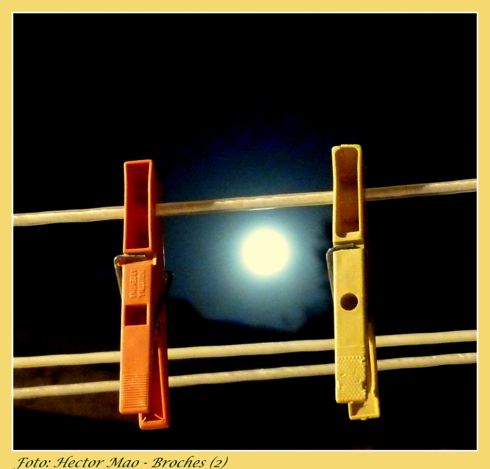 "Broches Iluminados por la Luna" de Hector Mao